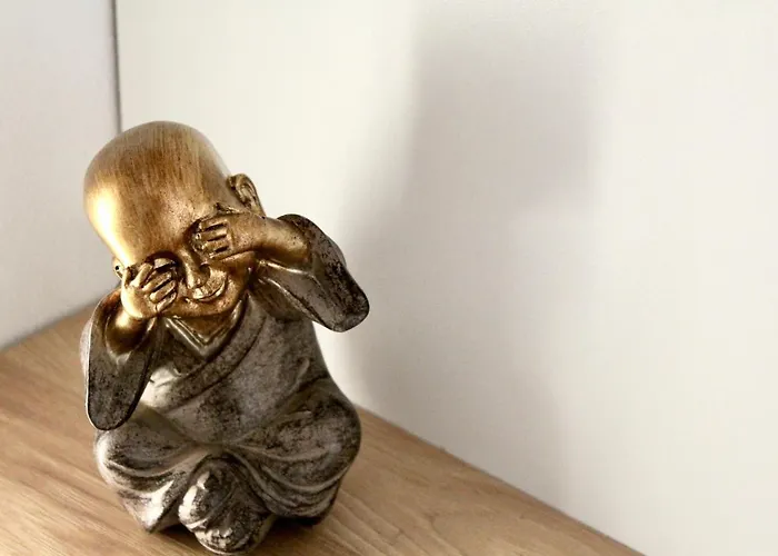 Apartment 4friendscoresibrasov Y *