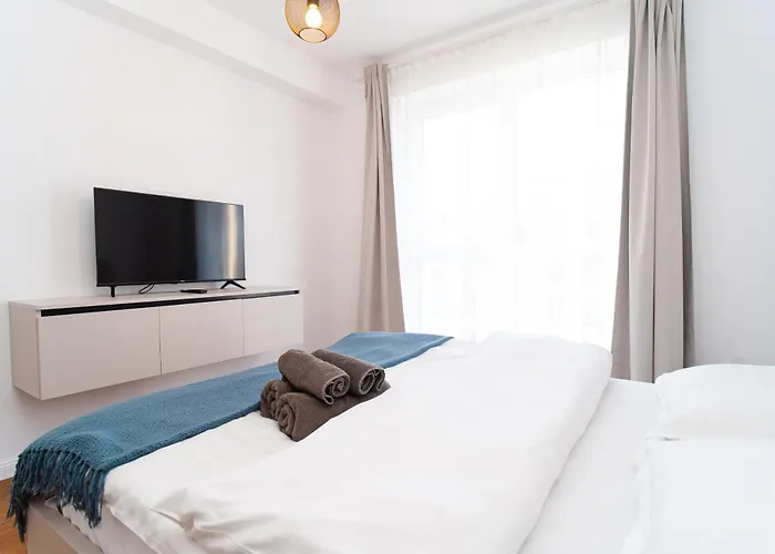 4friendscoresibrasov Y * Brasov